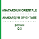 АНАКАРДІУМ ОРІЄНТАЛЕ (ANACARDIUM ORIENTALE) Q 3 розчин 15 мл - Гомеопатія GUDJONS