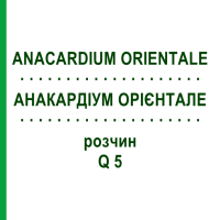 АНАКАРДІУМ ОРІЄНТАЛЕ (ANACARDIUM ORIENTALE) Q 5 розчин 15 мл - Гомеопатія GUDJONS