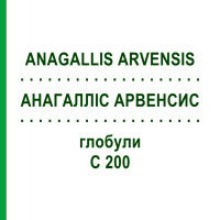 АНАГАЛЛИС АРВЕНСИС (ANAGALLIS ARVENSIS) C 200 глобули 10 г - Гомеопатия DHU