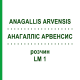АНАГАЛЛИС АРВЕНСИС (ANAGALLIS ARVENSIS) LM 1 раствор 10 мл - Гомеопатия ARCANA DR.SEWERIN