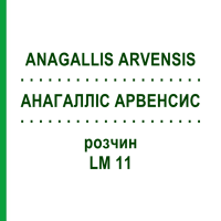 АНАГАЛЛИС АРВЕНСИС (ANAGALLIS ARVENSIS) LM 11 раствор 10 мл - Гомеопатия ARCANA DR.SEWERIN