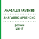 АНАГАЛЛИС АРВЕНСИС (ANAGALLIS ARVENSIS) LM 17 раствор 10 мл - Гомеопатия ARCANA DR.SEWERIN