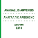АНАГАЛЛИС АРВЕНСИС (ANAGALLIS ARVENSIS) LM 3 раствор 10 мл - Гомеопатия ARCANA DR.SEWERIN