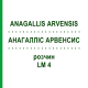АНАГАЛЛИС АРВЕНСИС (ANAGALLIS ARVENSIS) LM 4 раствор 10 мл - Гомеопатия ARCANA DR.SEWERIN
