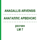 АНАГАЛЛИС АРВЕНСИС (ANAGALLIS ARVENSIS) LM 7 раствор 10 мл - Гомеопатия ARCANA DR.SEWERIN