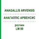 АНАГАЛЛИС АРВЕНСИС (ANAGALLIS ARVENSIS) LM 90 раствор 10 мл - Гомеопатия ARCANA DR.SEWERIN