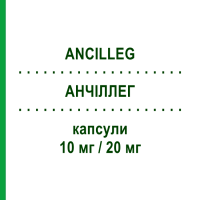АНЧИЛЛЕГ (ANCILLEG) 10 мг/20 мг капсулы 30 шт - Аторвастатин, Эзетимиб SANDOZ