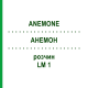 АНЕМОН (ANEMONE) LM 1 розчин 10 мл - Гомеопатія ARCANA DR.SEWERIN