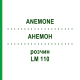 АНЕМОН (ANEMONE) LM 110 розчин 10 мл - Гомеопатія ARCANA DR.SEWERIN