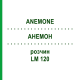 АНЕМОН (ANEMONE) LM 120 розчин 10 мл - Гомеопатія ARCANA DR.SEWERIN