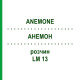 АНЕМОН (ANEMONE) LM 13 розчин 10 мл - Гомеопатія ARCANA DR.SEWERIN