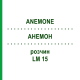 АНЕМОН (ANEMONE) LM 15 розчин 10 мл - Гомеопатія ARCANA DR.SEWERIN