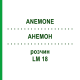 АНЕМОН (ANEMONE) LM 18 розчин 10 мл - Гомеопатія ARCANA DR.SEWERIN