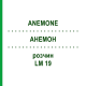 АНЕМОН (ANEMONE) LM 19 розчин 10 мл - Гомеопатія ARCANA DR.SEWERIN