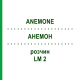 АНЕМОН (ANEMONE) LM 2 розчин 10 мл - Гомеопатія ARCANA DR.SEWERIN
