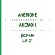 АНЕМОН (ANEMONE) LM 21 розчин 10 мл - Гомеопатія ARCANA DR.SEWERIN