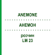 АНЕМОН (ANEMONE) LM 23 розчин 10 мл - Гомеопатія ARCANA DR.SEWERIN