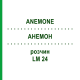 АНЕМОН (ANEMONE) LM 24 розчин 10 мл - Гомеопатія ARCANA DR.SEWERIN