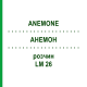 АНЕМОН (ANEMONE) LM 26 розчин 10 мл - Гомеопатія ARCANA DR.SEWERIN