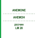 АНЕМОН (ANEMONE) LM 28 розчин 10 мл - Гомеопатія ARCANA DR.SEWERIN