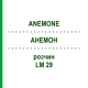 АНЕМОН (ANEMONE) LM 29 розчин 10 мл - Гомеопатія ARCANA DR.SEWERIN