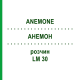 АНЕМОН (ANEMONE) LM 30 розчин 10 мл - Гомеопатія ARCANA DR.SEWERIN