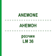 АНЕМОН (ANEMONE) LM 36 розчин 10 мл - Гомеопатія ARCANA DR.SEWERIN