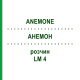 АНЕМОН (ANEMONE) LM 4 розчин 10 мл - Гомеопатія ARCANA DR.SEWERIN