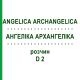АНГЕЛИКА АРХАНГЕЛИКА (ANGELICA ARCHANGELICA) D 2 раствор 20 мл - Гомеопатия DHU