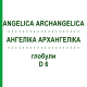 АНГЕЛИКА АРХАНГЕЛИКА (ANGELICA ARCHANGELICA) D 6 глобули 10 г - Гомеопатия DHU