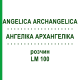 АНГЕЛИКА АРХАНГЕЛИКА (ANGELICA ARCHANGELICA) LM 100 раствор 10 мл - Гомеопатия ARCANA DR.SEWERIN