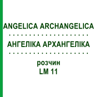 АНГЕЛИКА АРХАНГЕЛИКА (ANGELICA ARCHANGELICA) LM 11 раствор 10 мл - Гомеопатия ARCANA DR.SEWERIN