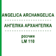 АНГЕЛИКА АРХАНГЕЛИКА (ANGELICA ARCHANGELICA) LM 110 раствор 10 мл - Гомеопатия ARCANA DR.SEWERIN