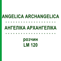 АНГЕЛІКА АРХАНГЕЛІКА (ANGELICA ARCHANGELICA) LM 120 розчин 10 мл - Гомеопатія ARCANA DR.SEWERIN