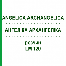 АНГЕЛІКА АРХАНГЕЛІКА (ANGELICA ARCHANGELICA) LM 120 розчин 10 мл - Гомеопатія ARCANA DR.SEWERIN