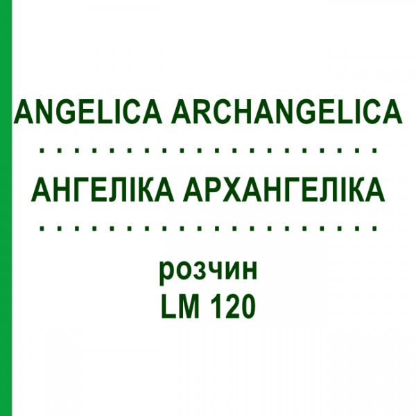 АНГЕЛІКА АРХАНГЕЛІКА (ANGELICA ARCHANGELICA) LM 120 розчин 10 мл - Гомеопатія ARCANA DR.SEWERIN