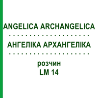 АНГЕЛИКА АРХАНГЕЛИКА (ANGELICA ARCHANGELICA) LM 14 раствор 10 мл - Гомеопатия ARCANA DR.SEWERIN