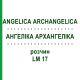 АНГЕЛИКА АРХАНГЕЛИКА (ANGELICA ARCHANGELICA) LM 17 раствор 10 мл - Гомеопатия ARCANA DR.SEWERIN