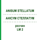 АНИСУМ СТЕЛЛАТУМ (ANISUM STELLATUM) LM 2 раствор 10 мл - Гомеопатия ARCANA DR.SEWERIN
