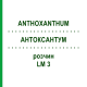 АНТОКСАНТУМ (ANTHOXANTHUM) LM 3 раствор 10 мл - Гомеопатия ARCANA DR.SEWERIN