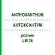 АНТОКСАНТУМ (ANTHOXANTHUM) LM 36 раствор 10 мл - Гомеопатия ARCANA DR.SEWERIN