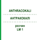 АНТРАКОКАЛИ (ANTHRACOKALI) LM 1 раствор 10 мл - Гомеопатия ARCANA DR.SEWERIN