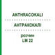 АНТРАКОКАЛИ (ANTHRACOKALI) LM 22 раствор 10 мл - Гомеопатия ARCANA DR.SEWERIN