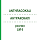 АНТРАКОКАЛИ (ANTHRACOKALI) LM 6 раствор 10 мл - Гомеопатия ARCANA DR.SEWERIN