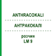 АНТРАКОКАЛИ (ANTHRACOKALI) LM 9 раствор 10 мл - Гомеопатия ARCANA DR.SEWERIN