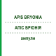АПИС БРИОНИЯ (APIS BRYONIA) ампулы 50x1 мл - Гомеопатия WALA HEILMITTEL