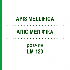 АПИС МЕЛЛИФИКА (APIS MELLIFICA) LM 120 раствор 10 мл - Гомеопатия ARCANA DR.SEWERIN