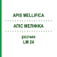 АПІС МЕЛІФІКА (APIS MELLIFICA) LM 24 розчин 10 мл - Гомеопатія ARCANA DR.SEWERIN