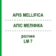 АПІС МЕЛІФІКА (APIS MELLIFICA) LM 7 розчин 10 мл - Гомеопатія ARCANA DR.SEWERIN