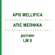 АПІС МЕЛІФІКА (APIS MELLIFICA) LM 8 розчин 10 мл - Гомеопатія ARCANA DR.SEWERIN